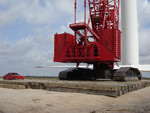 Crane Mat Photo